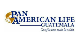 Panamerican : Brand Short Description Type Here.